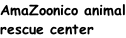 AmaZoonico animal rescue center