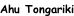 Ahu Tongariki